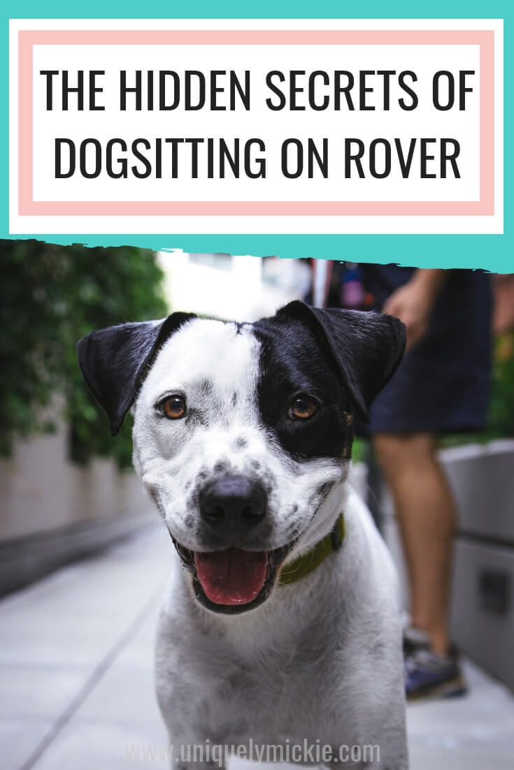 Dogsitting on Rover