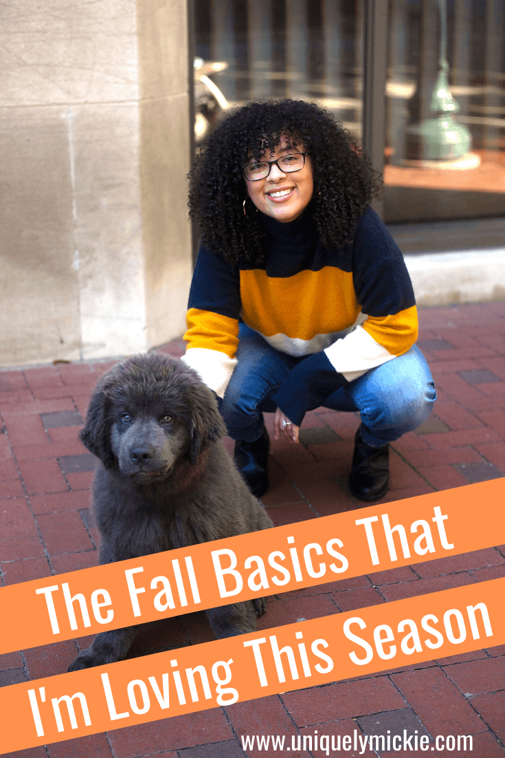 With fall comes colder evenings, pumpkin carvings, and so much more! This fall, I’m loving cardigans, booties, turtlenecks, etc. Read this blog post to find out what other fall basics that I’ve been loving this season. #FallBasics #FallStyle #FallFashion