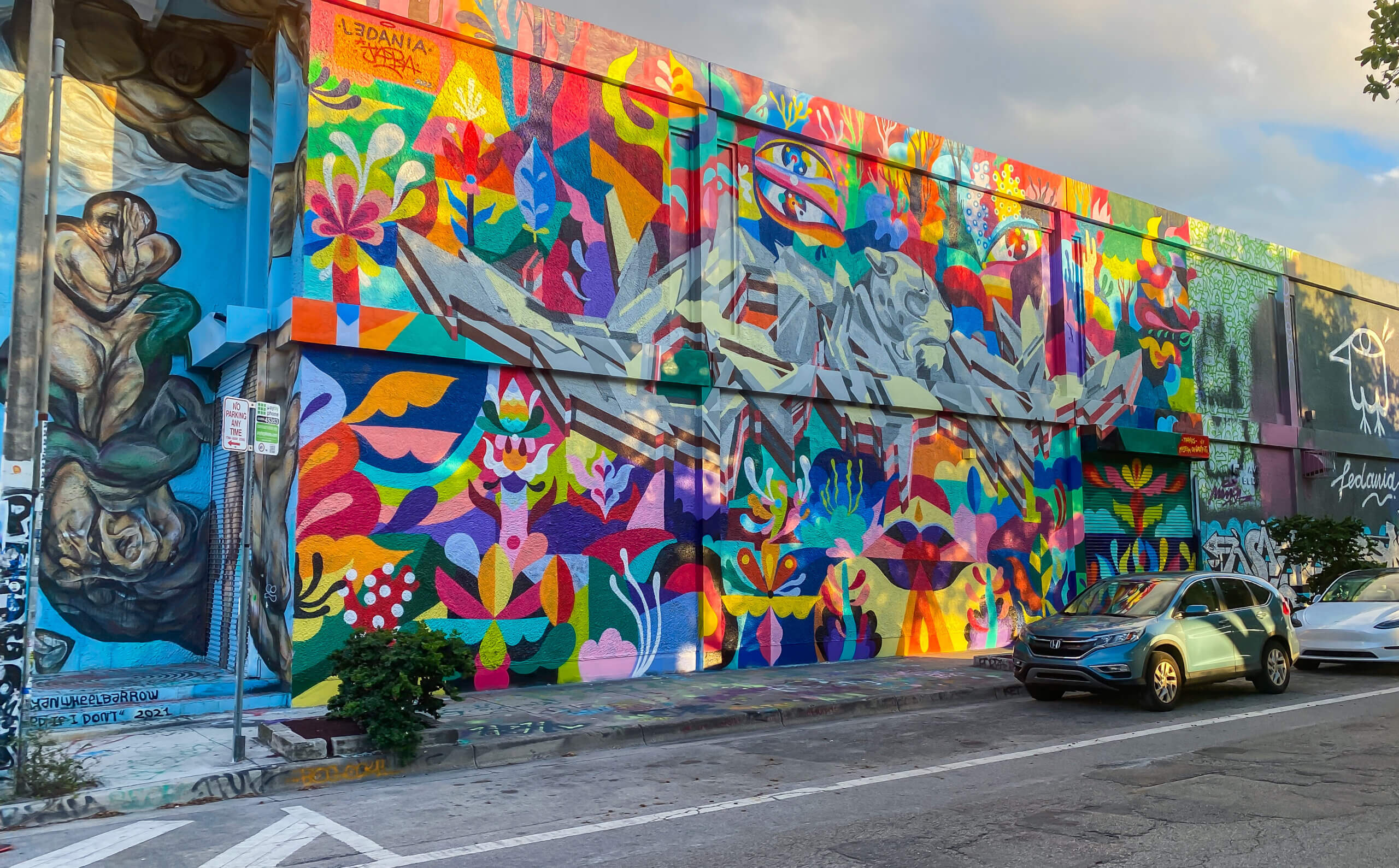 Murals in Wynwood, Miami FL